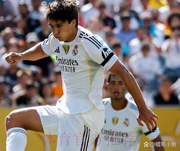 TA:皇马今夏想签中卫&边卫&攻击手 在关注阿方索